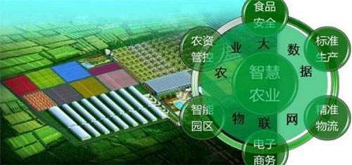&ldquo;智慧农业&rdquo;助云南农村电商转型升级